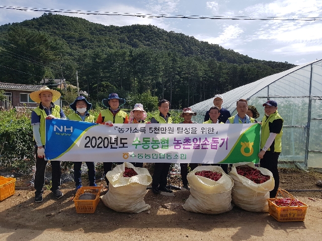 농촌일손돕기 대표 이미지